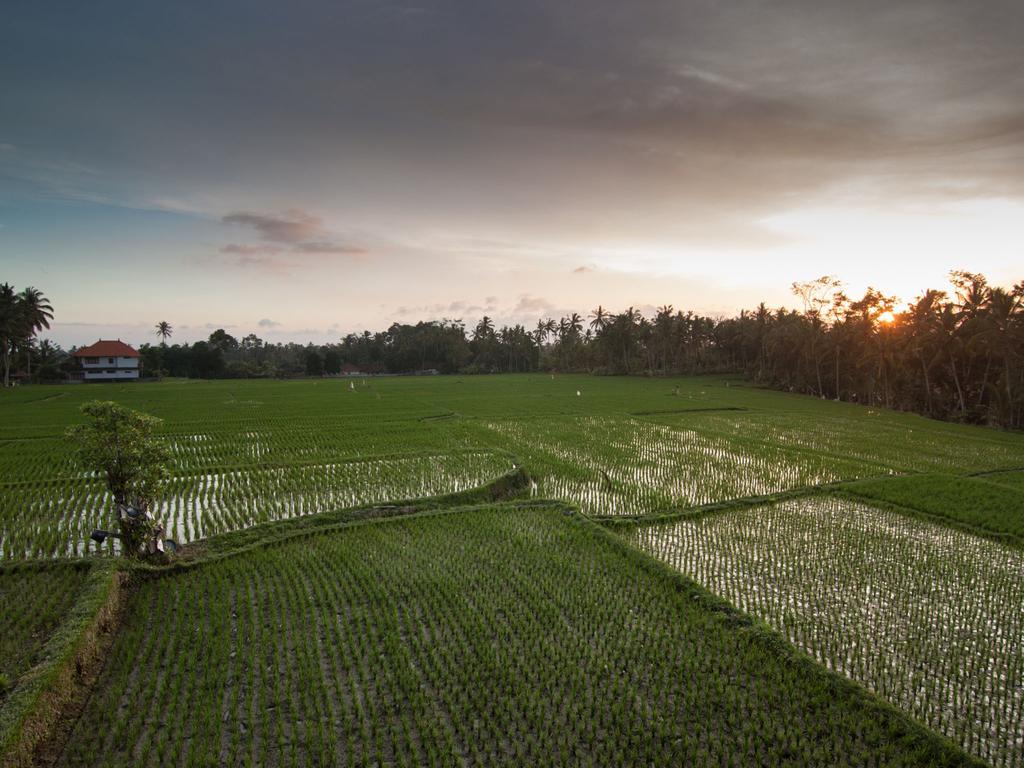 Semanggi Cottage Ubud Zimmer foto